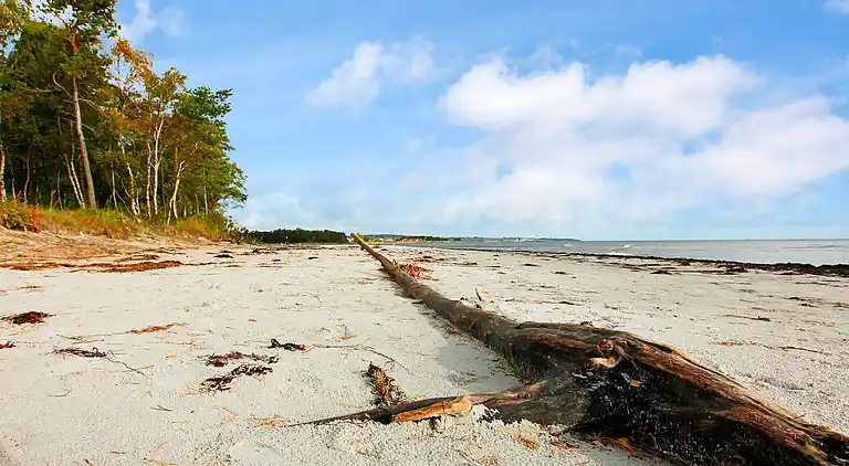 Holiday home in Snogebæk