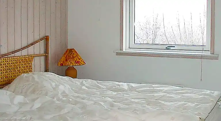 Sommerhus i Bork Havn