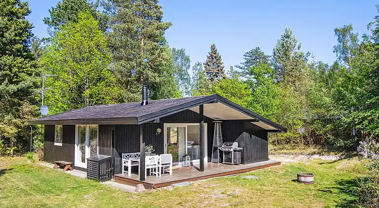 Sommerhus i Vig