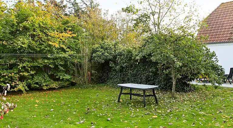 Sommerhus i Blåvand