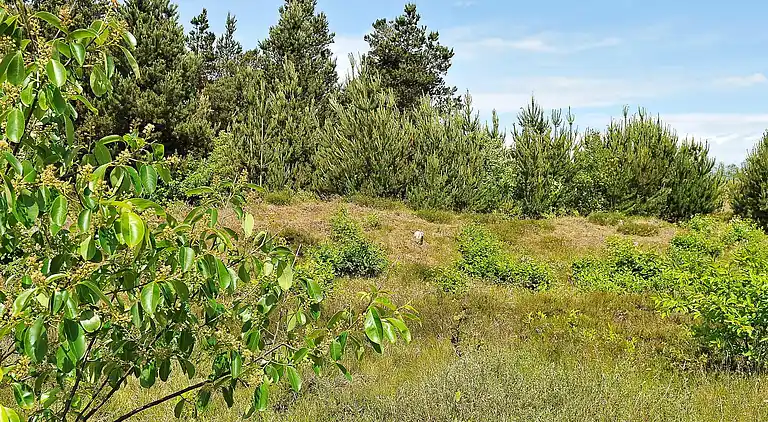 Holiday home in Varde