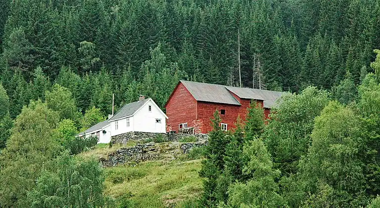 Vakantiehuis in Luster Municipality