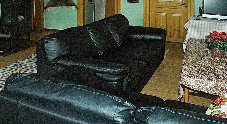 Vakantiehuis in Luster Municipality