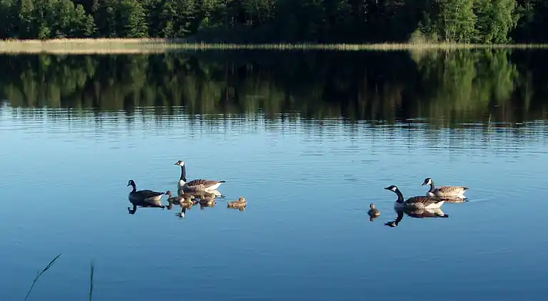 Holiday home in Norrtälje Municipality