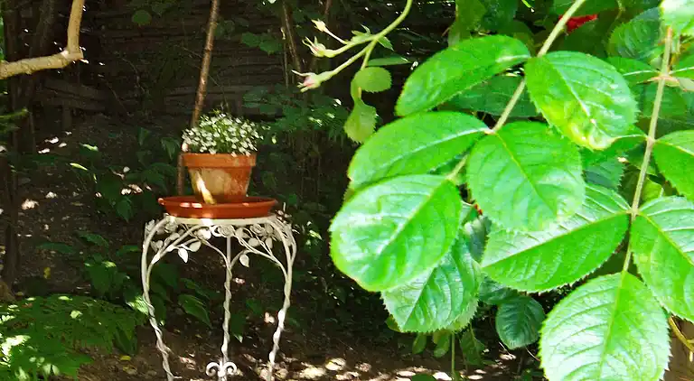 Vakantiehuis in Ekerö V