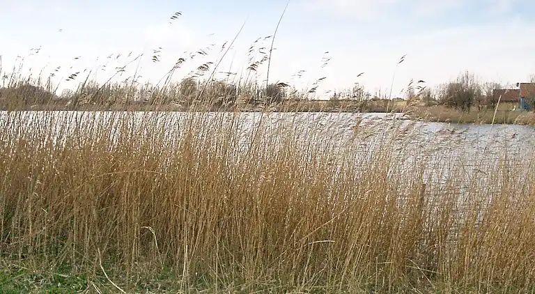 Sommerhus i Otterndorf