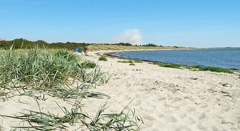 Holiday home in Dannemare