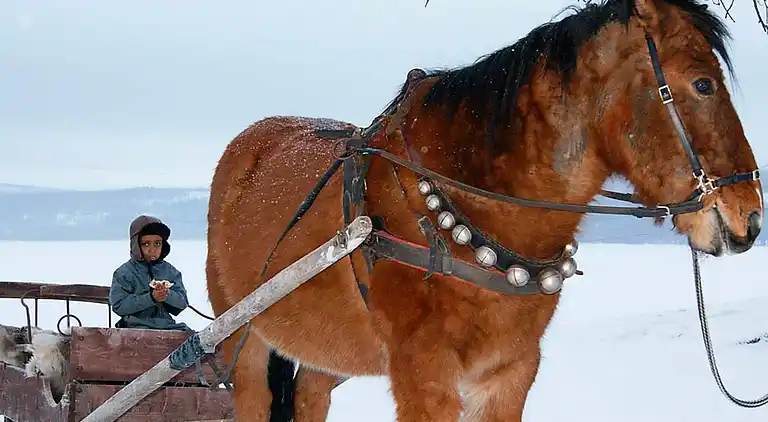 Holiday home in Holand