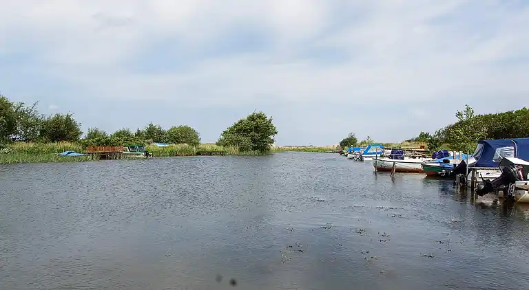 Holiday home in Bork Havn