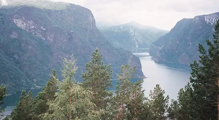 Vakantiehuis in Luster Municipality