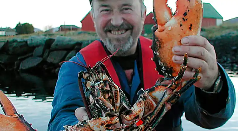Holiday home in Fjørtoft