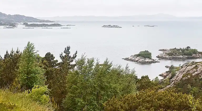 Semesterbostad i Brosvik