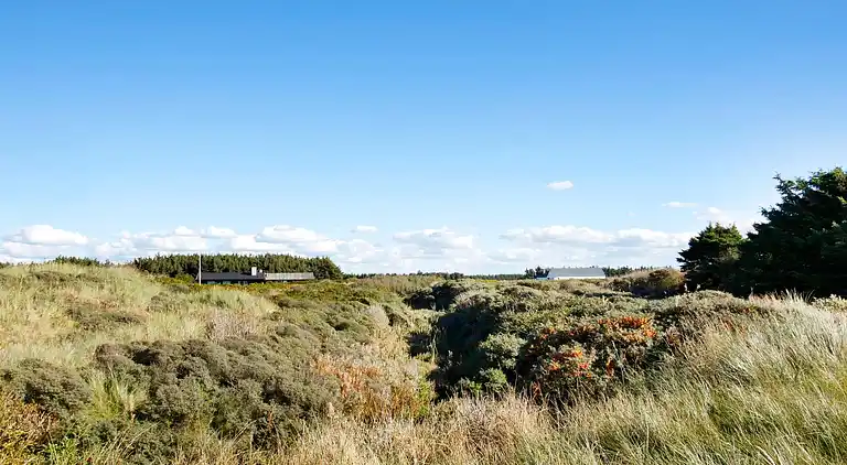 Casa vacanze in Jammerbugt