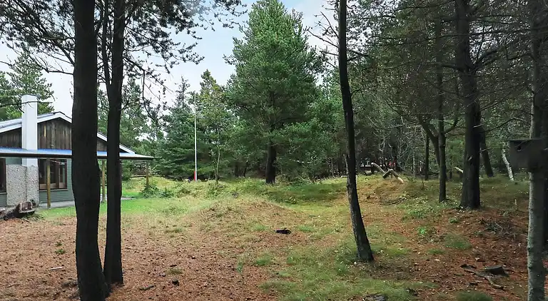 Sommerhus ved Vejers Strand