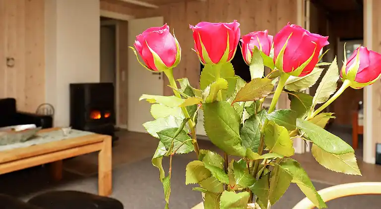 Holiday home in Blåvand