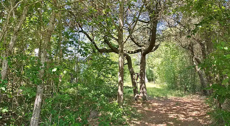 Holiday home in Bønnerup Strand