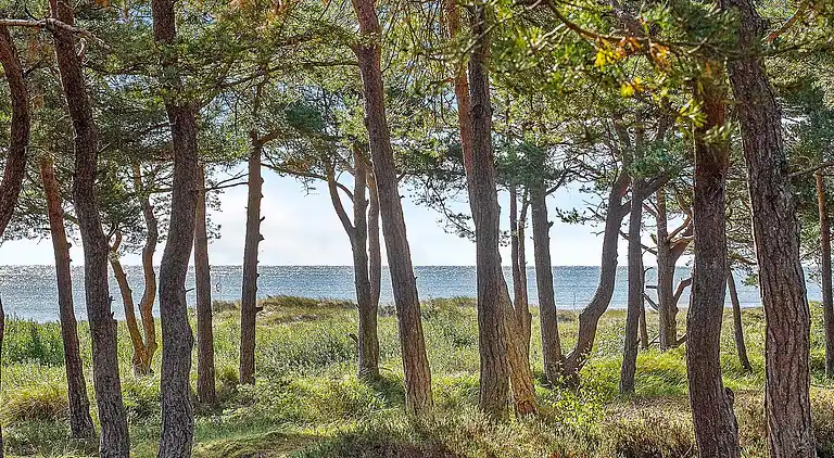 Holiday home in Dueodde