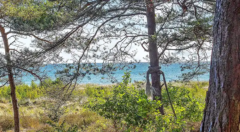 Holiday home in Dueodde