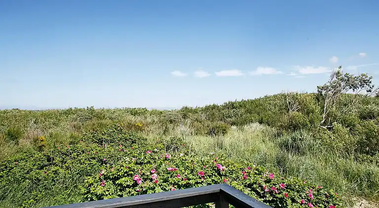 Holiday home in Skagen