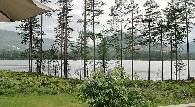 Holiday home in Nissedal