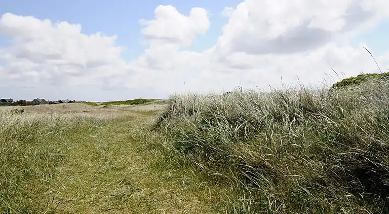 Sommerhus i Blåvand
