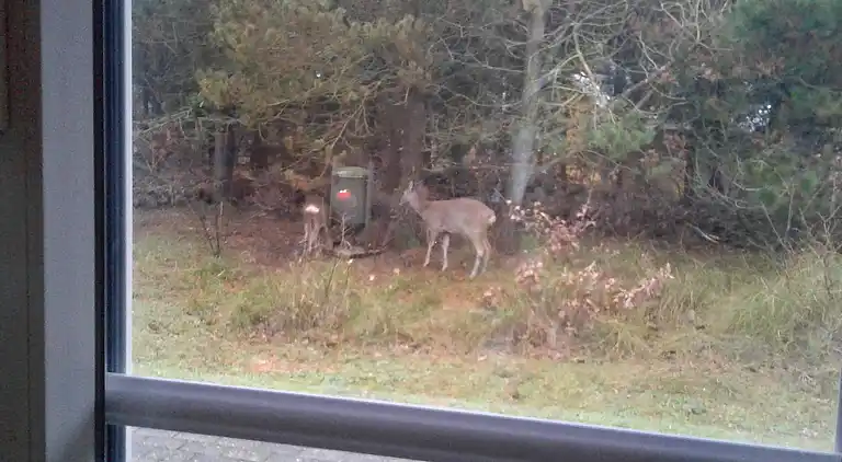Holiday home in Havneby