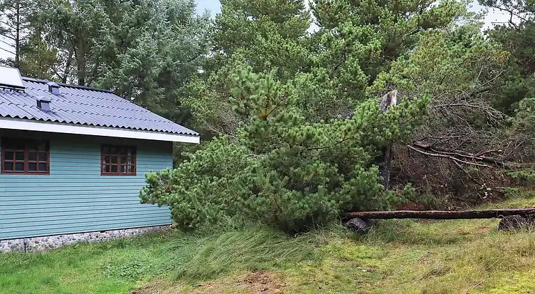 Sommerhus ved Vejers Strand