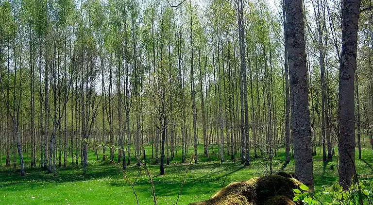 Casa vacanze in Sala NO