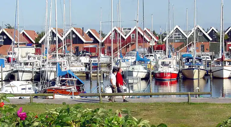 Holiday home in Bork Havn