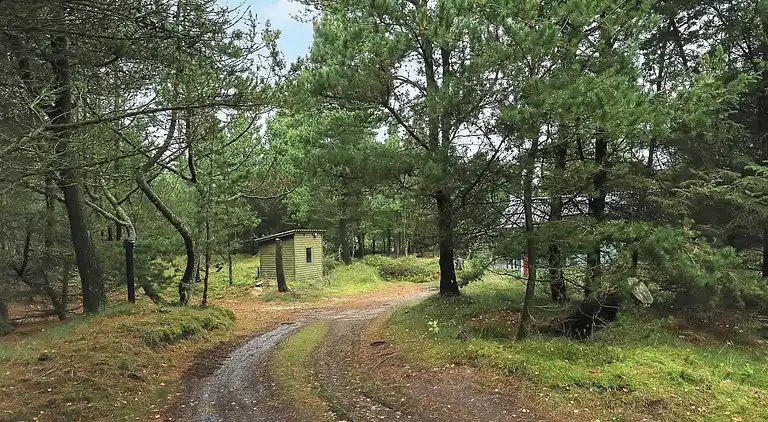 Sommerhus ved Vejers Strand