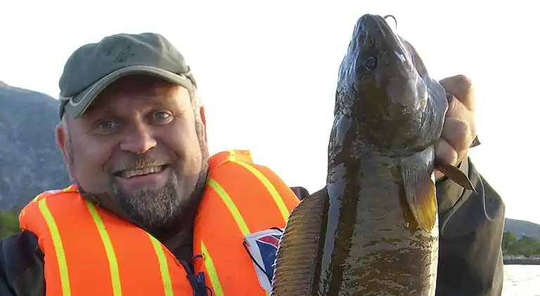 Holiday home in Ballangen Municipality