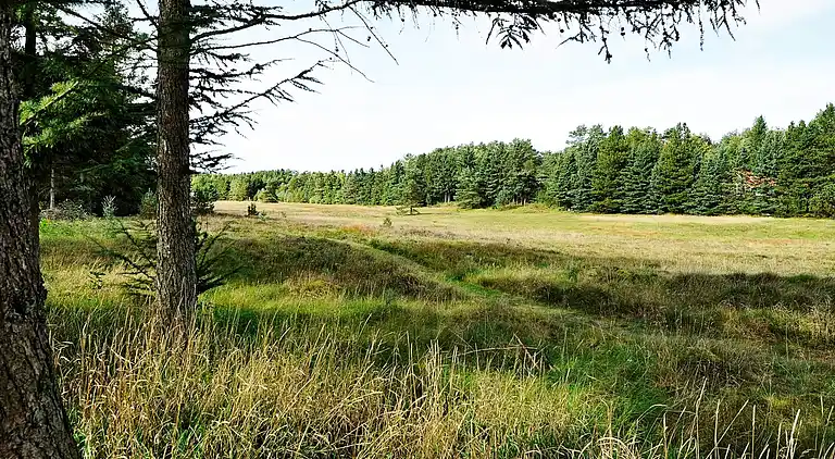 Feriebolig i Bording