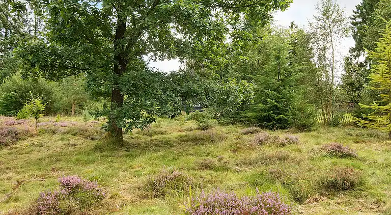 Feriebolig i Bording