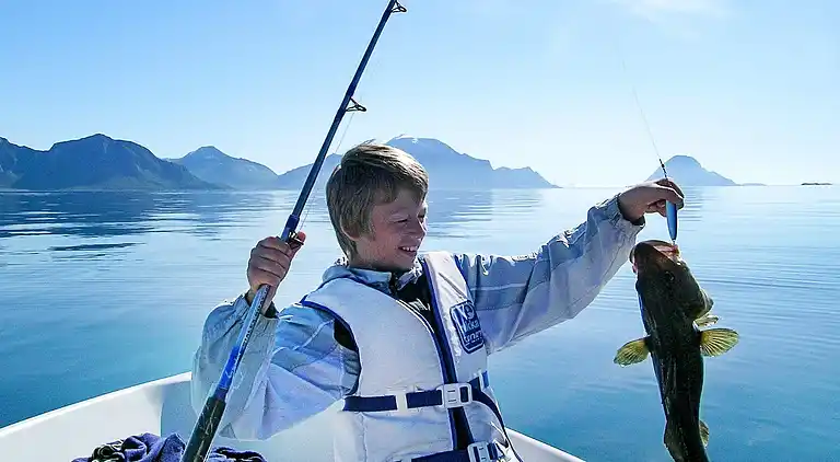 Sommerhus i Vestvågøy