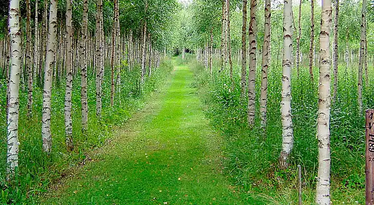 Casa vacanze in Sala NO