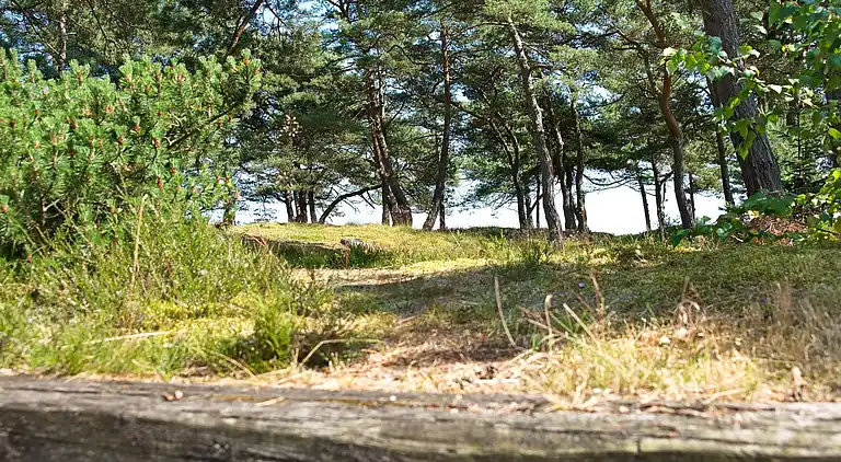 Holiday home in Dueodde