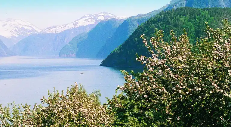 Feriebolig i Norddal