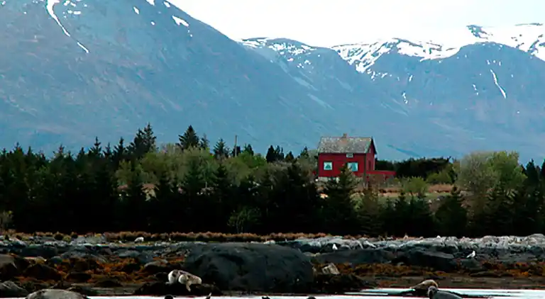 Holiday home in Fjørtoft