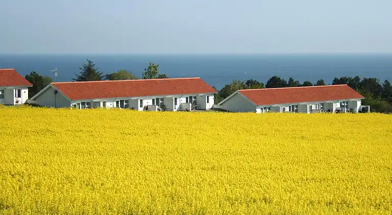 Vakantiehuis in Allinge