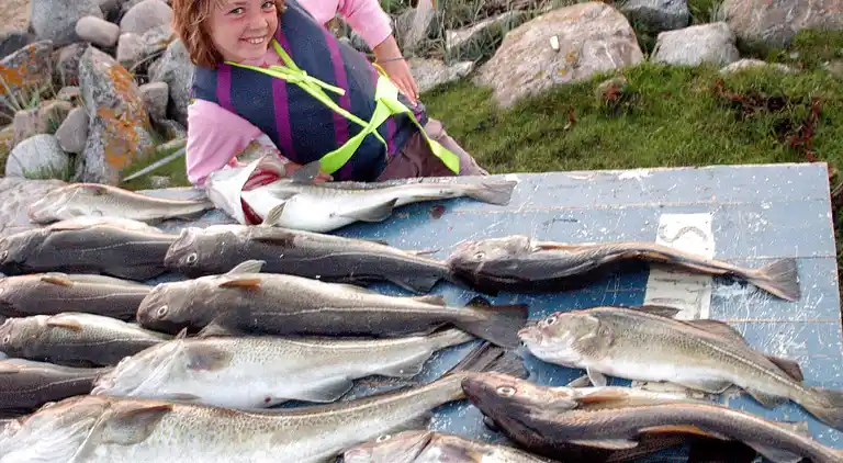 Holiday home in Åmnes