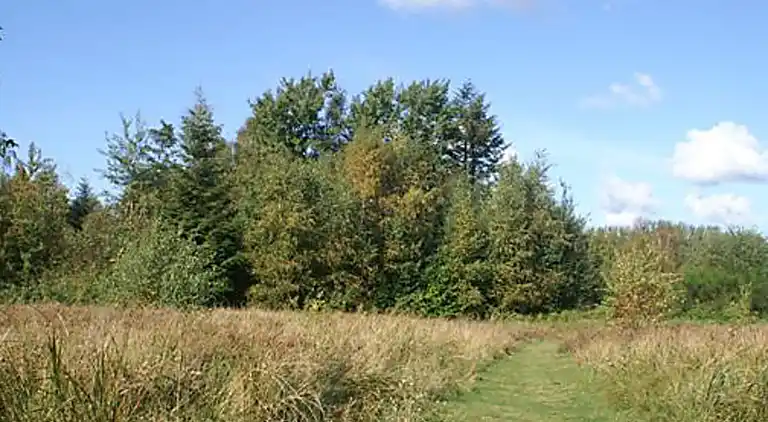 Semesterbostad i Gørlev