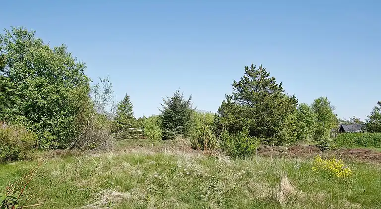 Semesterbostad i Ålbæk