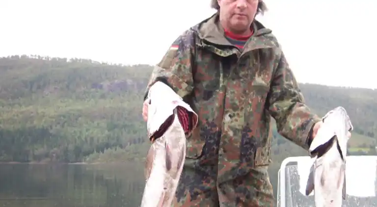 Holiday home in Surnadal