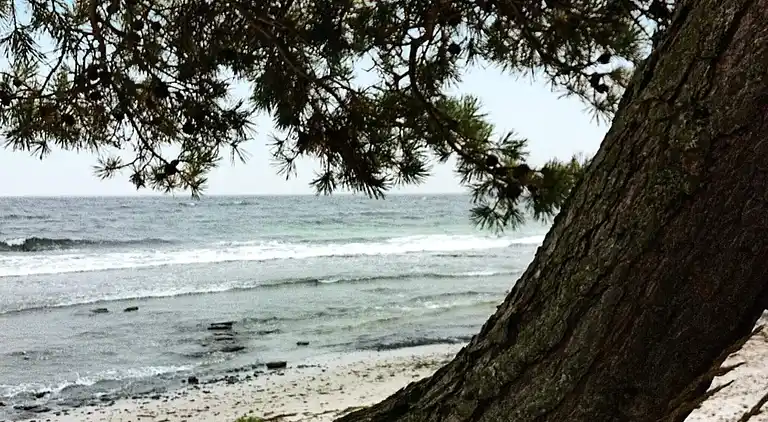 Holiday home in Nexø