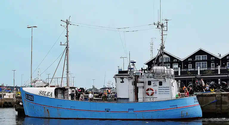 Holiday home in Ringkobing