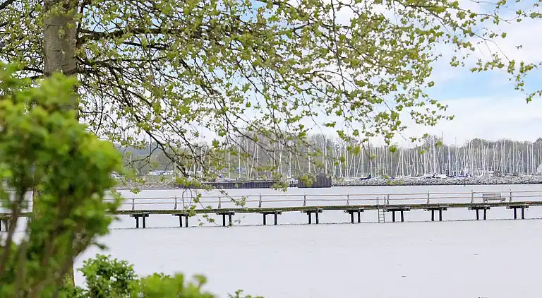 Holiday home in Wackerballig