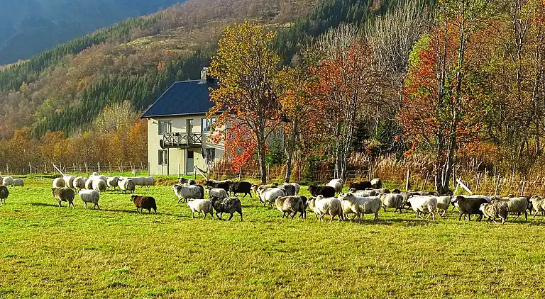 Holiday home in Øksnes