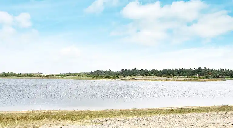 Holiday home in Vejers Strand