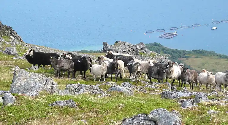 Holiday home in Øksnes
