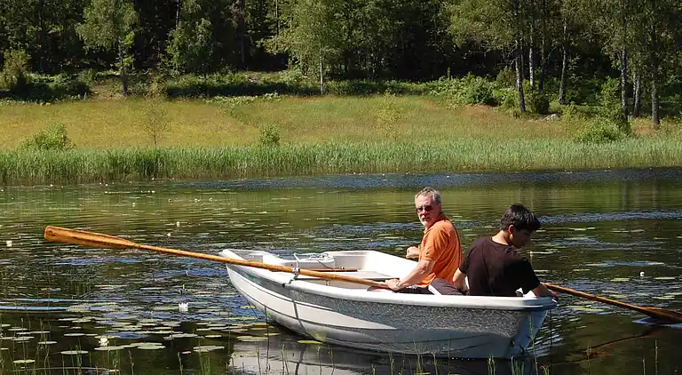 Holiday home in Mellerud V